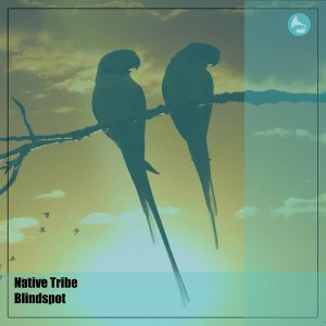 Native Tribe - Blindspot