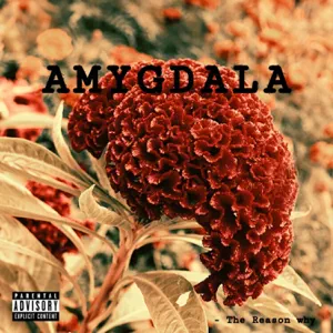 Album: Domani – Amygdala