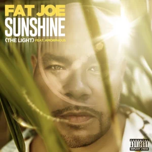 sunshine the light single fat joe dj khaled amorphous