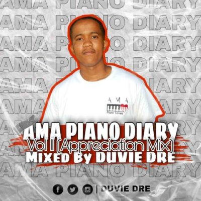 duvie dre – the amapiano diary vol. 11 mix