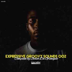 stash da groovyest – expressive groovy sounds 002 mix