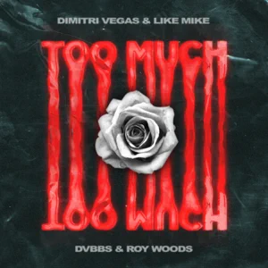 too much single dimitri vegas like mike dvbbs roy woods