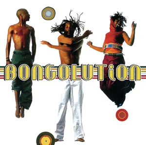 bongolution bongo maffin