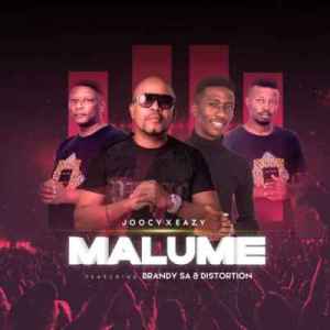 brandysa – malume ft. joocy distortion eazy