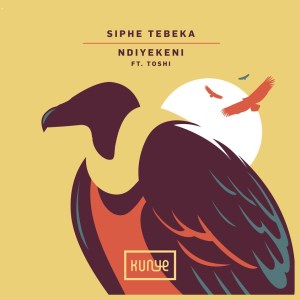 siphe tebeka – ndiyekeni edit ft. toshi