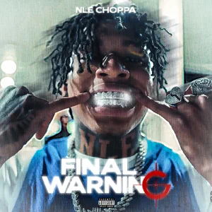 final warning single nle choppa