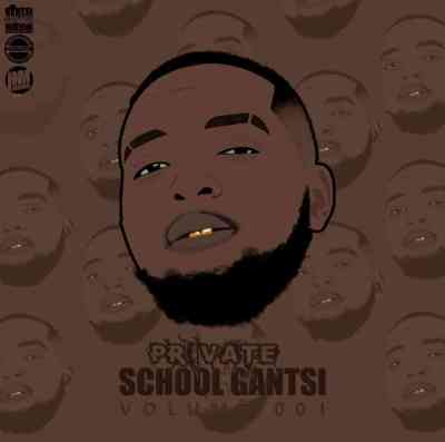 vusinator – private school gantsi vol. 1