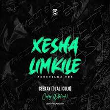 ceekay dlaliculo – xesha limkile akuxhelwa vox