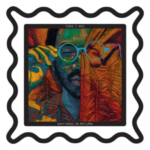 toro y moi anything in return