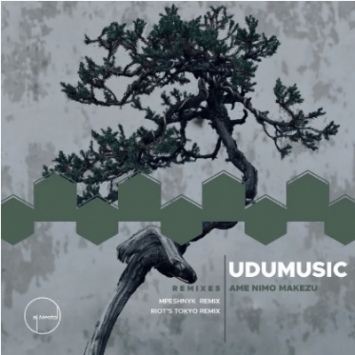 udumusic – ame nimo makezu mpeshnyk remix