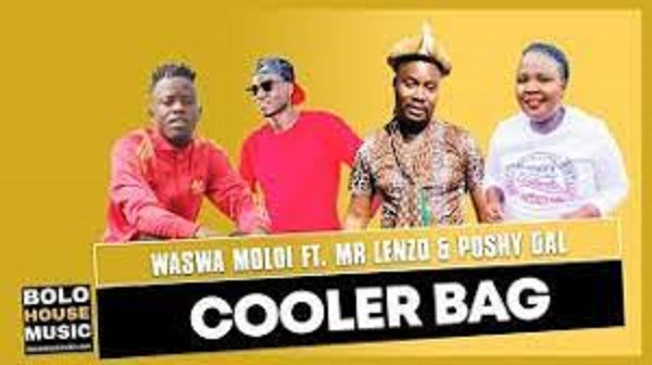 waswa moloi – cooler bag ft mr lenzo poshy gal