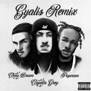 gyalis remix feat. chris brown single capella grey and popcaan