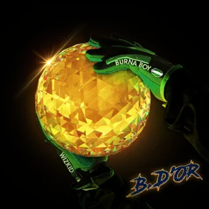 b. dor feat. wizkid single burna boy