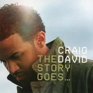 craig david the story goes