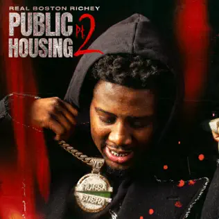 Public Housing Pt. 2 Real Boston Richey