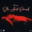 Rooga – She Aint Proud 1