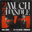 alok steve aoki – 2 much 2 handle