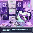 skales – konibaje remix feat. rotimi