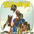 Teezee – STAMINA