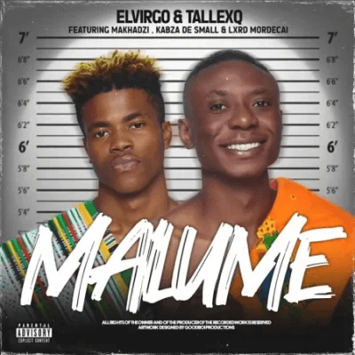 elvirgo tallexq chicco – malume 2.0 ft makhadzi kabza de small lxrd mordecai