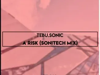 Tebu.Sonic – A Risk Sonitech Mix