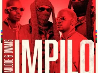 Marlode & Owams – Impilo ft 2woBunnies, MaWhoo, Leandra.Vert, Toby Franco, Gilano & Sponge 101