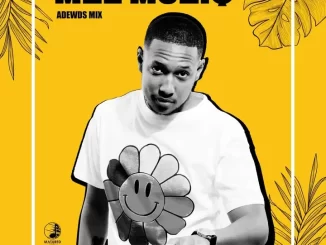 Mel Muziq – Adewds Mix