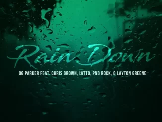 OG Parker, Chris Brown & Layton Greene Rain Down (feat. PnB Rock & Latto)