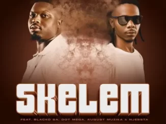 Real Nox & Kaygee The Vibe – Skelem ft Blacko SA, Dot Mega, August Musika & DJ Njabsta