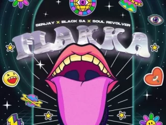 Senjay, Black SA & Soul Revolver – Flakka