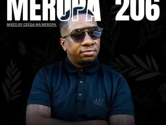 Ceega – Meropa 206 (Meropa Sessions Is A Healer)