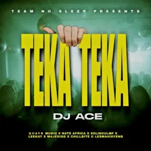 DJ Ace – Teka Teka ft. QuayR Musiq, Nate Africa, XolisoulMF, Leekay, Majestigg, Chillibite & Lesmahlanyeng