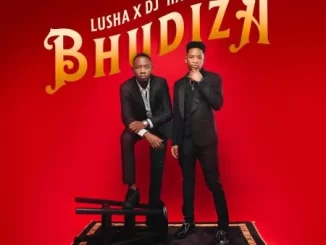 DJ Harvey & Lusha – Bhudiza ft TA MusiQ, Citykingrsa, JFS Music, Blvcknavy & Deeray