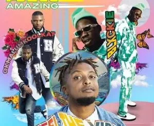 PDogg Amazing – Feeling The Vibe Ft. Okmalumkoolkat & Blxckie