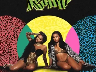 City Girls - Fancy Ass Bitch (feat. Juicy J