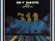 Sky White – 311 (Original Mix)