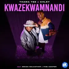 Thama Tee & Chley – Kwazekwamnadi ft. Sbuda Maleather & Pabi Cooper