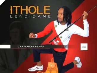 Ithole lendidane – Umnyamanambana