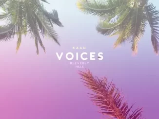 Voices