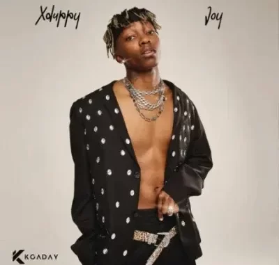 Album: XDuppy - Joy