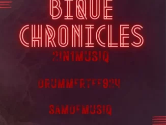 2in1musiq, DrummeRTee924 & Sam De Musiq – Bique Chronicles