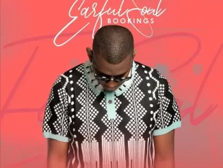 Earful Soul – The Vibe Cartel Mix