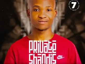 Tots SA – Private Shandis Vol.7 Mix