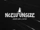 Drizzy Sam (RSA) & Ontha – Ncel’unsize Ft. Mali B flat