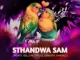 2Point1 – Sthandwa Sam ft. Bello M, Epic DJ, Seneath & X Morizo