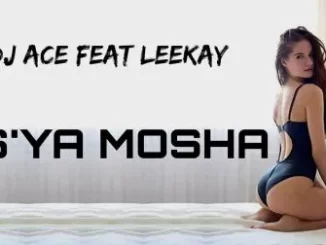 DJ Ace – S’ya Mosha ft LeeKay