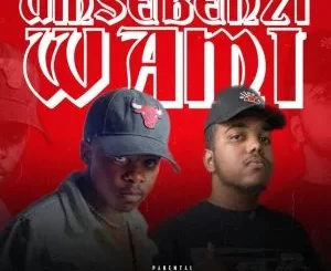 DJ JOSH & Yung Silly Coon – Umsebenzi Wami