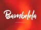 Macfowlen, DJ Stokie & Ntokzin – Bambelela (Nyamezela) ft TBO, Moscow On Keys & Rams Da Violinist