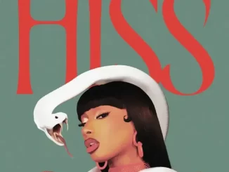 Megan Thee Stallion HISS