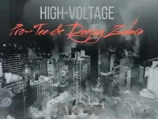 Pro Tee & Deejay Zebra – High Voltage